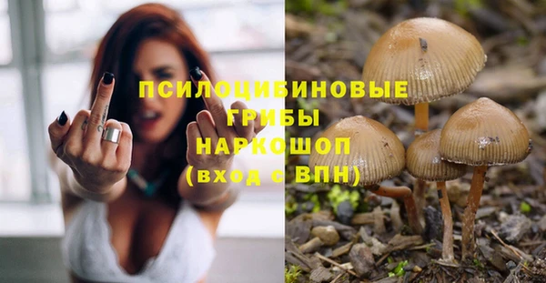 гидра Алзамай